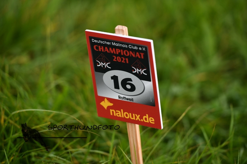 Impressionen 637.jpg